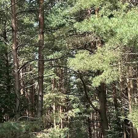 Sakalo Apartamentai דירה *