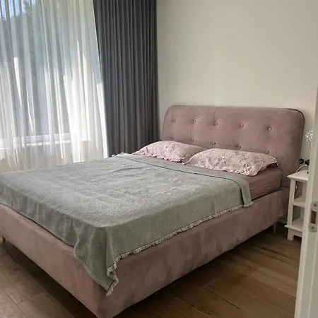 Sakalo Apartamentai דירה פלאנגה