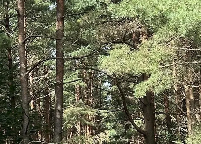 Sakalo Apartamentai דירה *